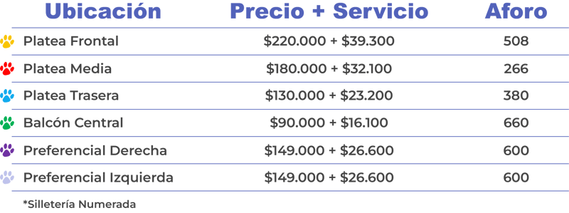 Precio-Bluey-4